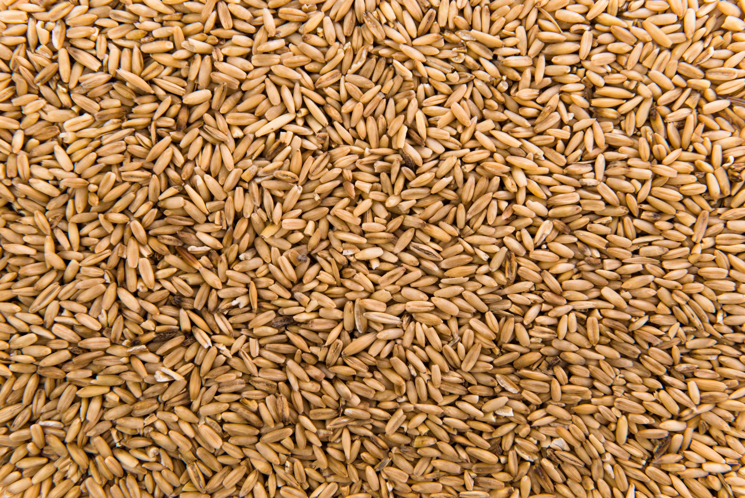 oats peeled